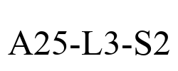 A25-L3-S2