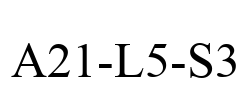 A21-L5-S3