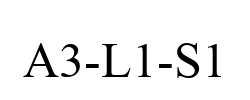 A3-L1-S1