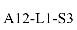 A12-L1-S3 A12-L1-S3