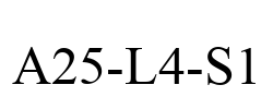 A25-L4-S1