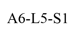A6-L5-S1