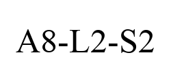 A8-L2-S2