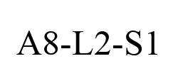 A8-L2-S1