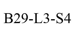 B29-L3-S4