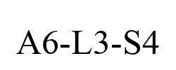 A6-L3-S4