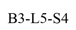 B3-L5-S4 B3-L5-S4