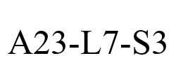 A23-L7-S3