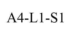 A4-L1-S1