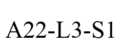 A22-L3-S1