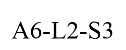 A6-L2-S3