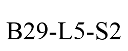 B29-L5-S2