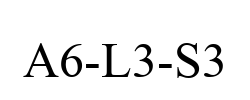 A6-L3-S3