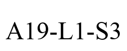 A19-L1-S3 A19-L1-S3