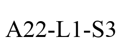 A22-L1-S3