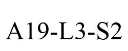 A19-L3-S2