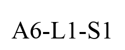 A6-L1-S1