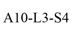 A10-L3-S4
