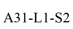 A31-L1-S2