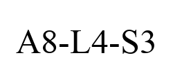 A8-L4-S3 A8-L4-S3