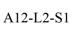 A12-L2-S1