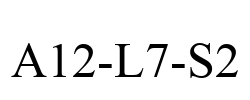 A12-L7-S2