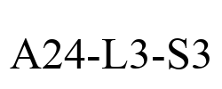 A24-L3-S3