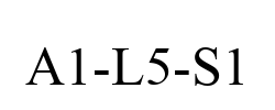 A1-L5-S1