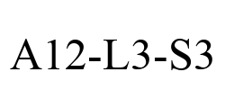 A12-L3-S3