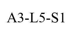 A3-L5-S1