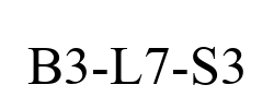 B3-L7-S3