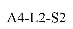A4-L2-S2