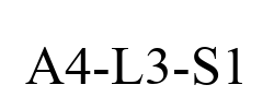A4-L3-S1