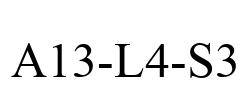 A13-L4-S3