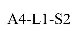 A4-L1-S2