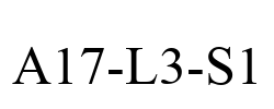 A17-L3-S1 A17-L3-S1