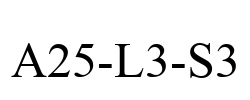 A25-L3-S3