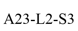 A23-L2-S3
