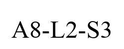 A8-L2-S3