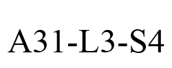 A31-L3-S4