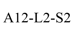 A12-L2-S2