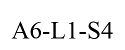 A6-L1-S4