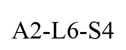 A2-L6-S4