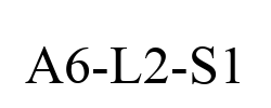 A6-L2-S1