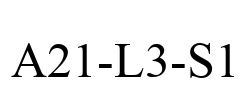 A21-L3-S1 A21-L3-S1