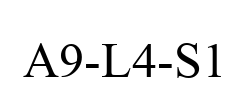 A9-L4-S1 A9-L4-S1
