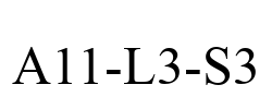 A11-L3-S3