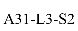 A31-L3-S2