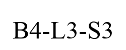 B4-L3-S3