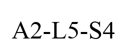 A2-L5-S4